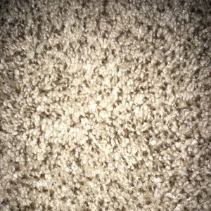 Meet your Posher, Bella